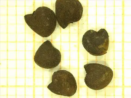file_20220824165550936
