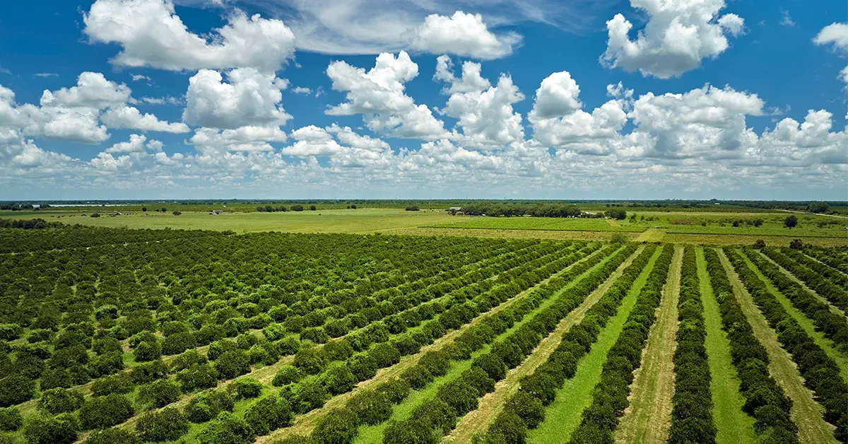 events-agronomica-at-horitec-2025