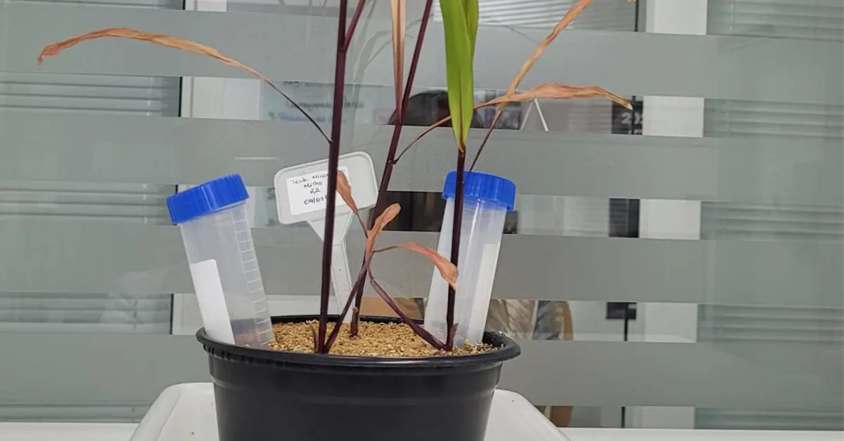 news-bioinput